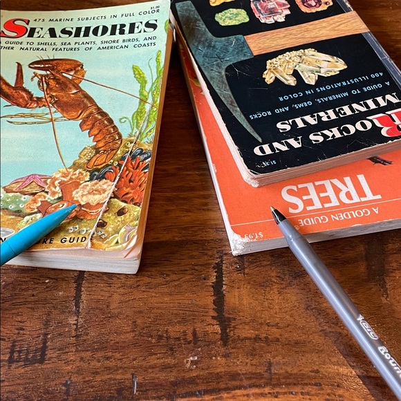 13 GOLDEN GUIDE Vintage Reference Books: Shells Fossils Spiders Trees Rocks MORE - Picture 15 of 15